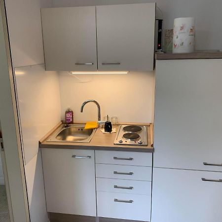 Kleines Einzimmer-Apartment 14 Bad Wildbad Dış mekan fotoğraf