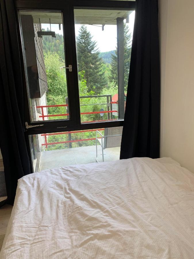 Kleines Einzimmer-Apartment 14 Bad Wildbad Dış mekan fotoğraf
