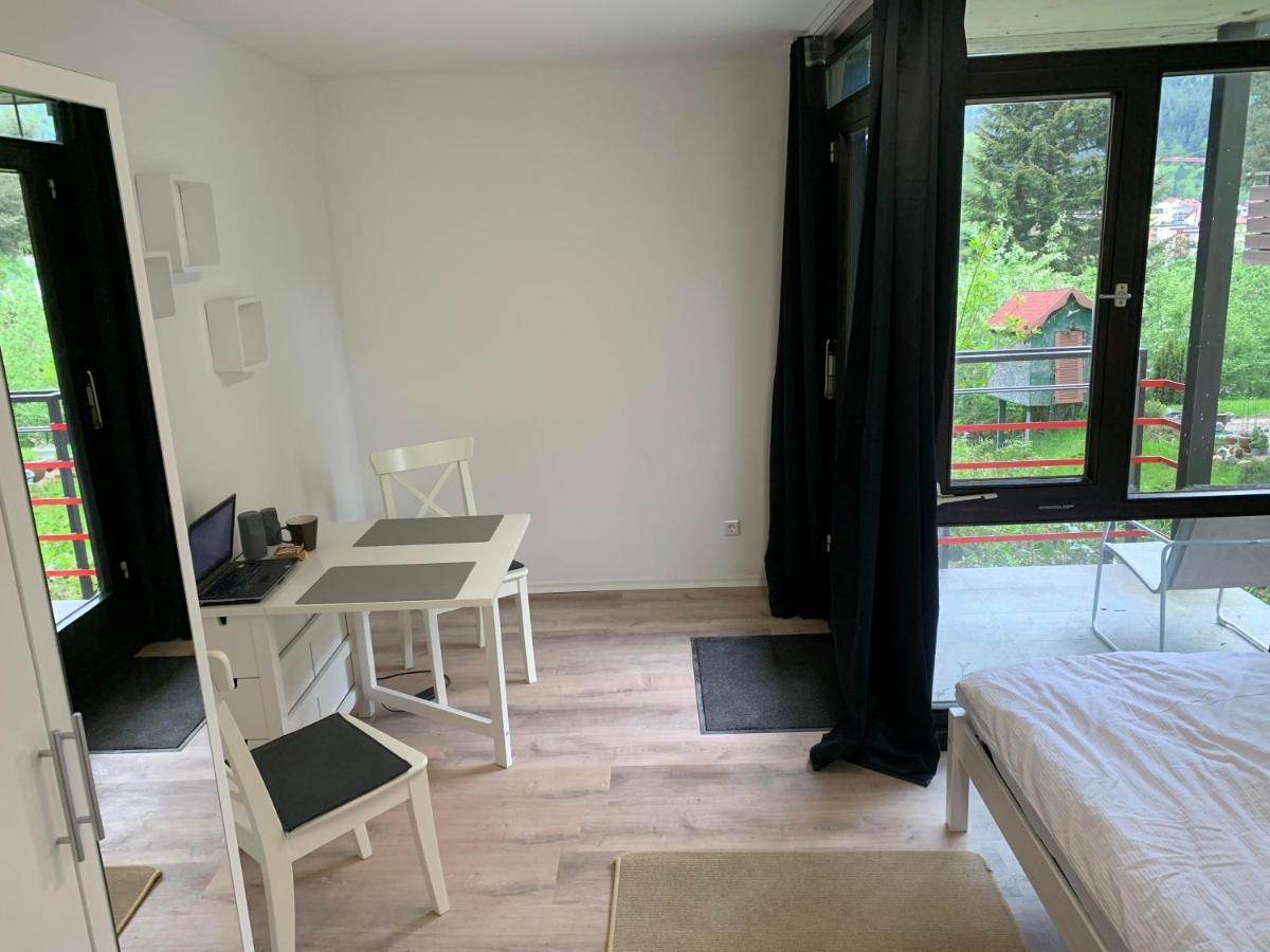 Kleines Einzimmer-Apartment 14 Bad Wildbad Dış mekan fotoğraf